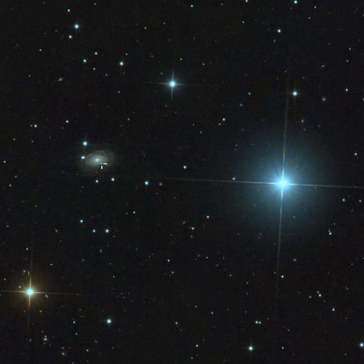 NGC 251 mit Supernova SN2023rky