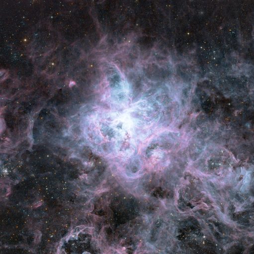 Tarantelnebel (NGC 2070)