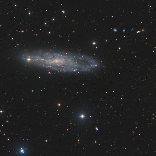 NGC 247 Spiralgalaxie