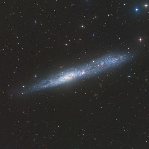 NGC 55 * Galaxie Im Sternbild Bildhauer