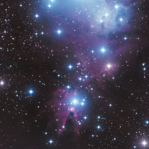 Konusnebel mit Christmas Tree