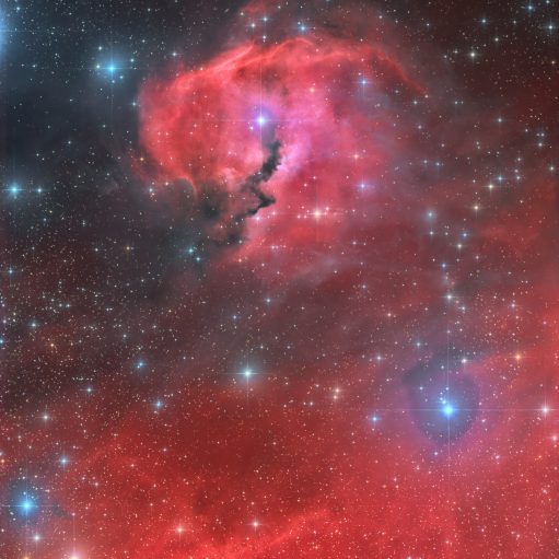 Sh2 292 – Kopf des Möwennebel