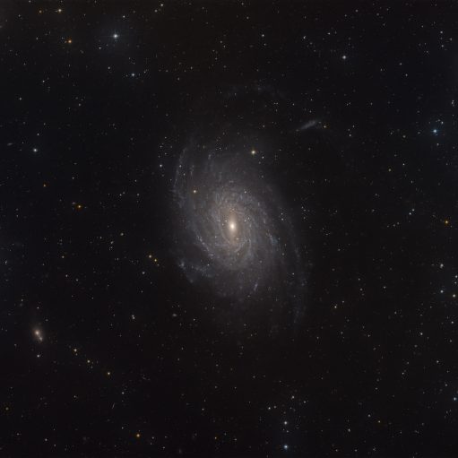Pavo Galaxie